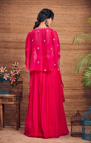 Aneesh Agarwaal-Hot Pink Cape Skirt Set-INDIASPOPUP.COM