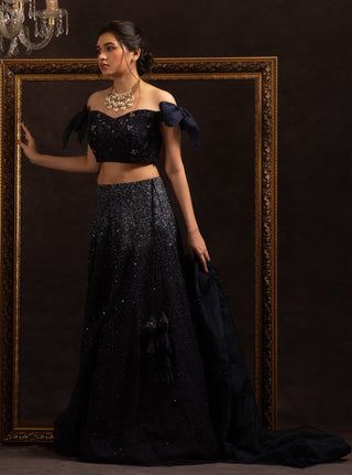 Charu & Vasundhara-Midnight Blue Embroidered Lehenga Set-INDIASPOPUP.COM