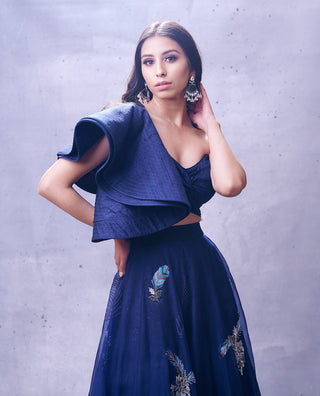 Aman Takyar-Navy Blue Organza Skirt With Blouse-INDIASPOPUP.COM