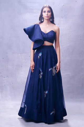 Aman Takyar-Navy Blue Organza Skirt With Blouse-INDIASPOPUP.COM