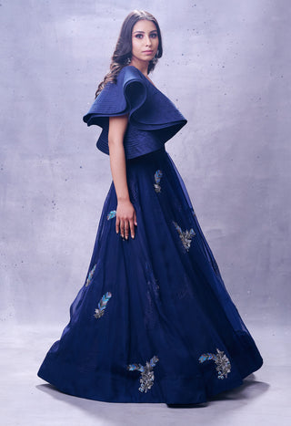 Aman Takyar-Navy Blue Organza Skirt With Blouse-INDIASPOPUP.COM