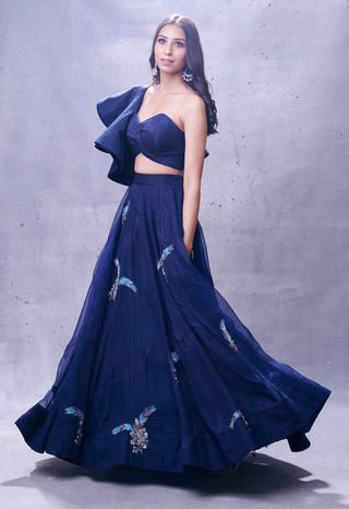 Aman Takyar-Navy Blue Organza Skirt With Blouse-INDIASPOPUP.COM